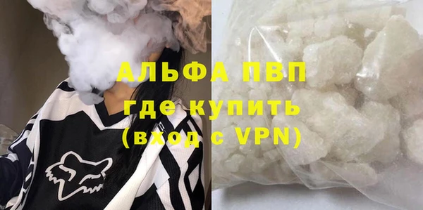 PSILOCYBIN Белокуриха