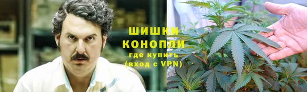 PSILOCYBIN Белокуриха