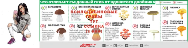 PSILOCYBIN Белокуриха