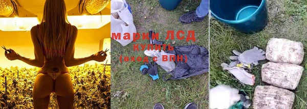 PSILOCYBIN Белокуриха