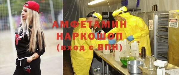 PSILOCYBIN Белокуриха
