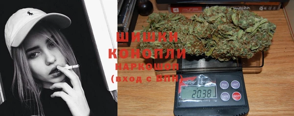 PSILOCYBIN Белокуриха